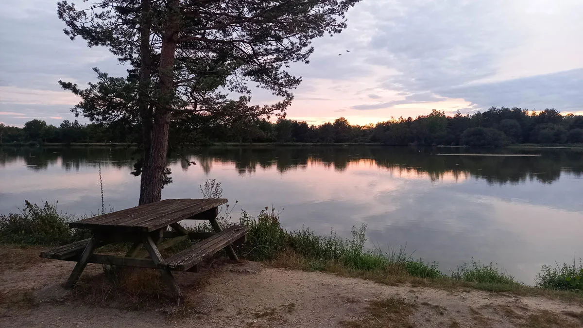 Coucher de soleil sur un étang de Sologne